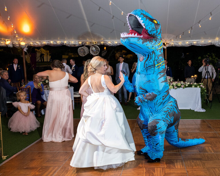 Best Charlottesville Wedding Venue Keswick Vineyards reception dancing ideas