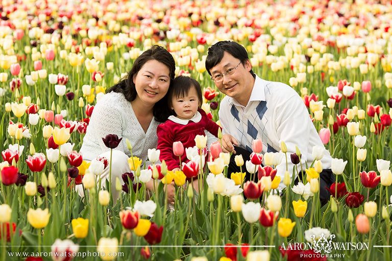 Organic Tulip Farm in Virginia