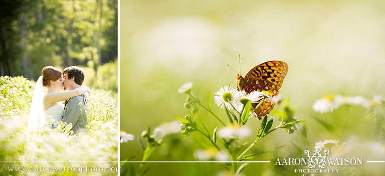 bride and groom with butterfly