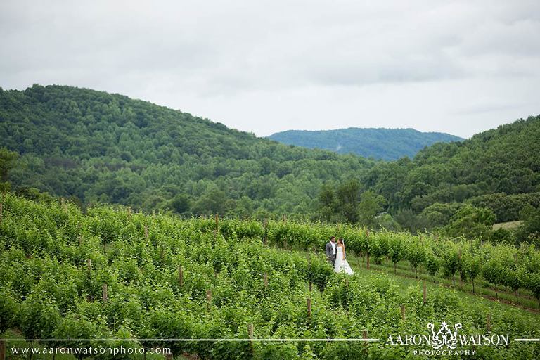 Bride and Groom Portraits