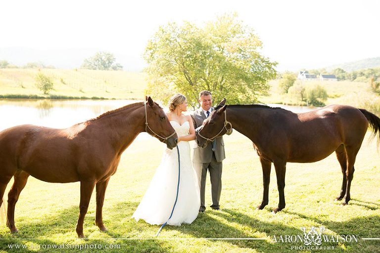 wedding with horses