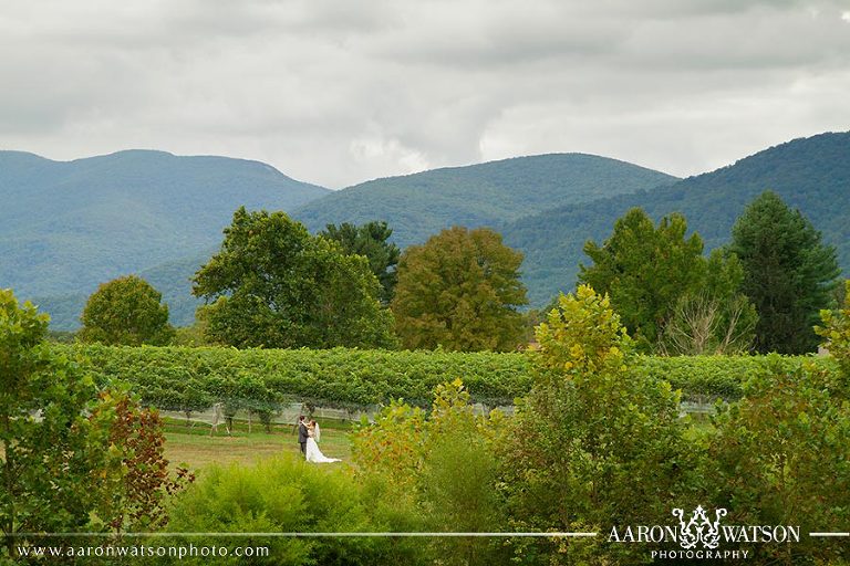 Veritas vineyard weddings