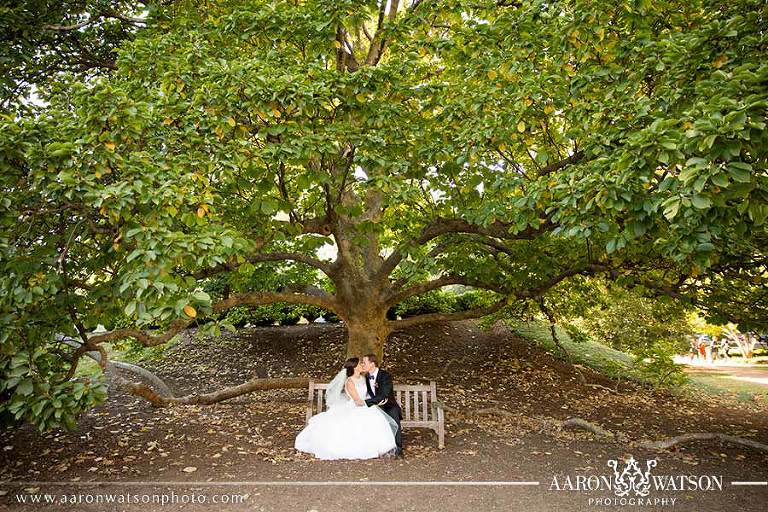 charlottesville wedding