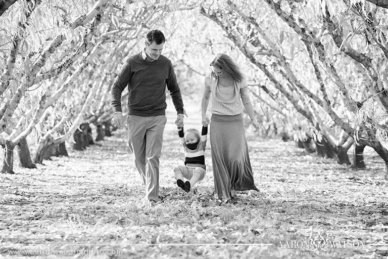 chiles orchard family portraits