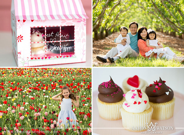 sweethaus cupcakes family portraits charlottesville va