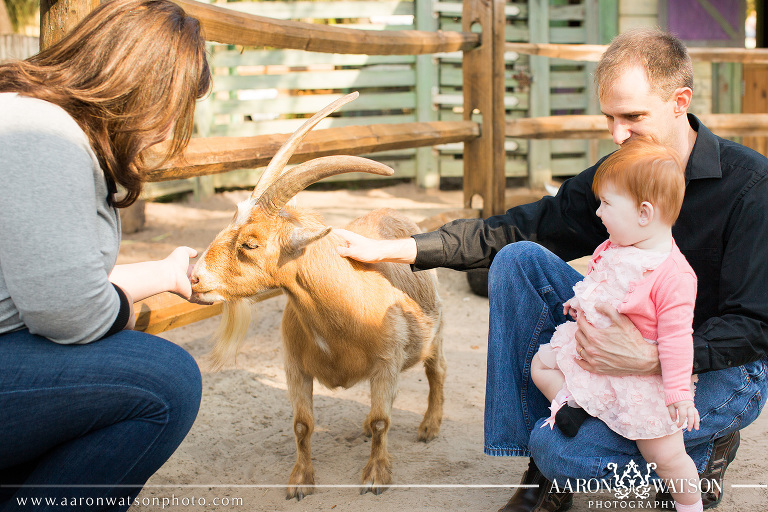 family pictures at the zoo