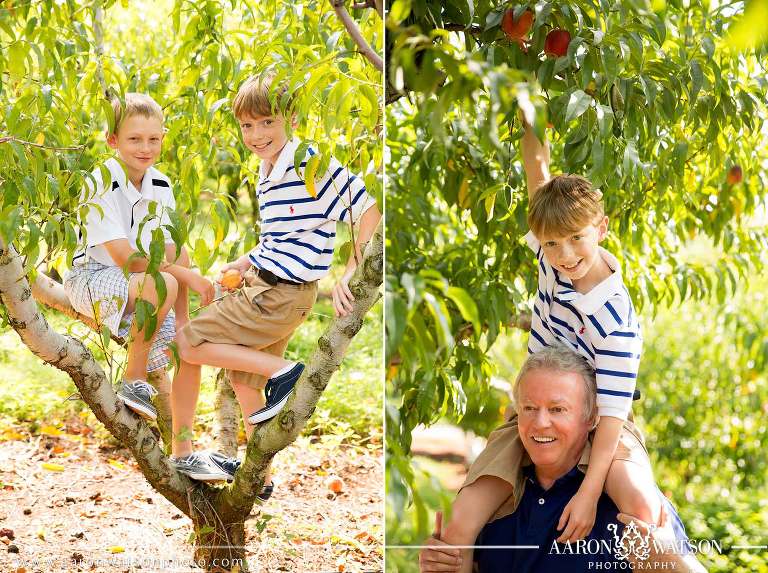 chiles peach orchard