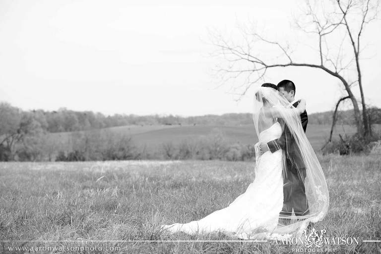 romantic wedding pictures with veil