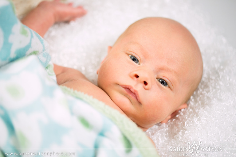 newborn portraits