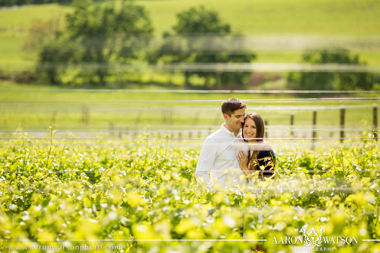 vineyard engagement pictures