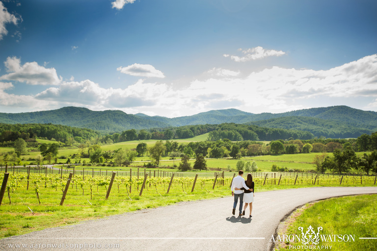 pippin hill vineyard