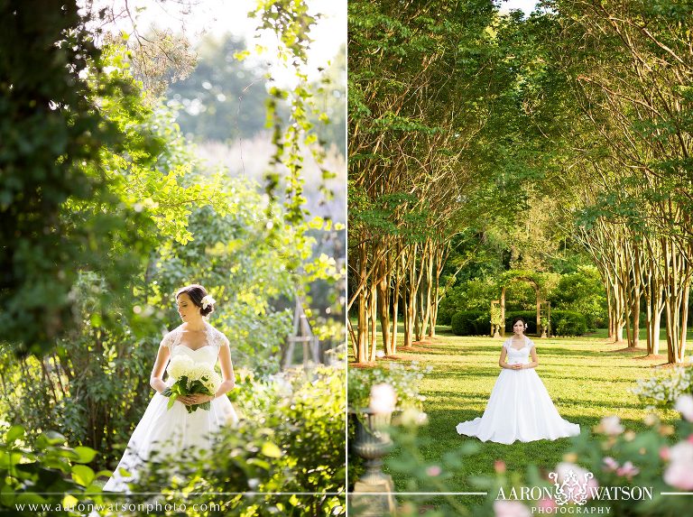 Charlottesville Bridal Portraits