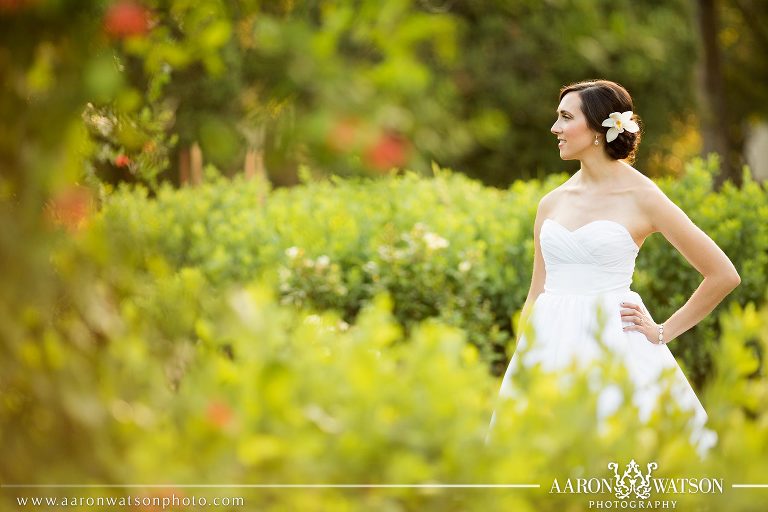 Bridal Portraits