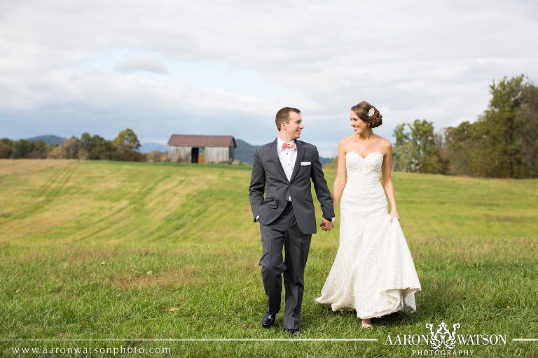 Early Mountain Vineyard Wedding