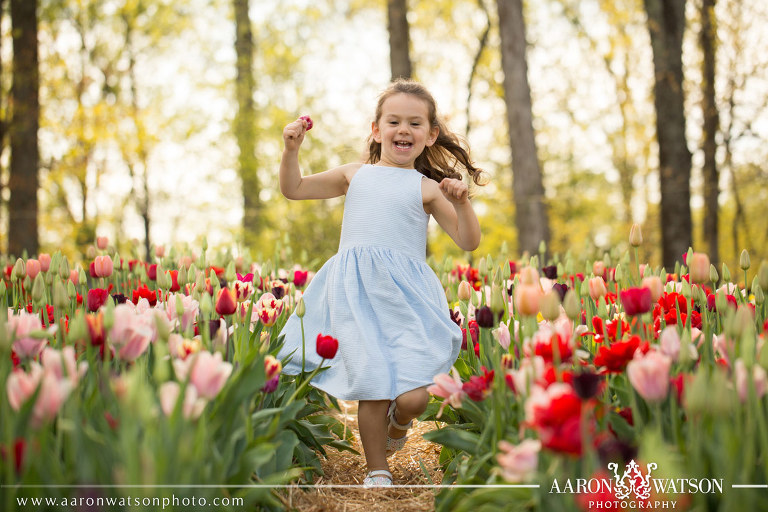 tulip portraits