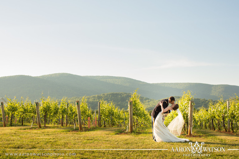 vineyard portrait