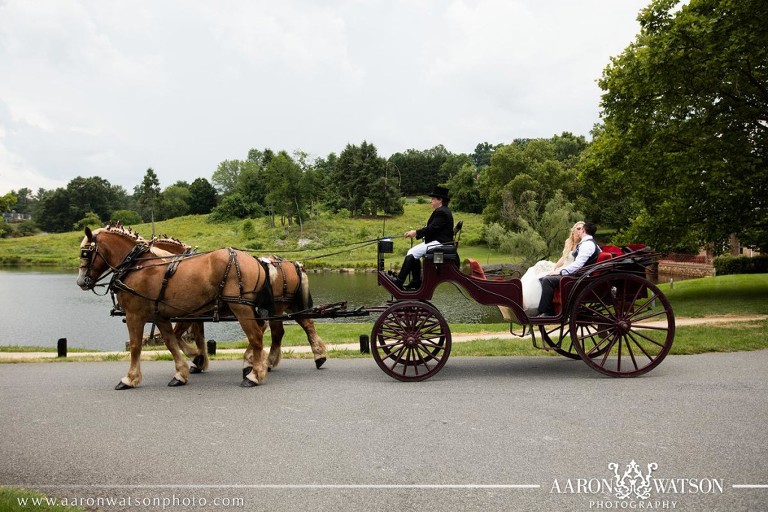 couple carriage rides