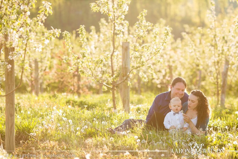 family in the field