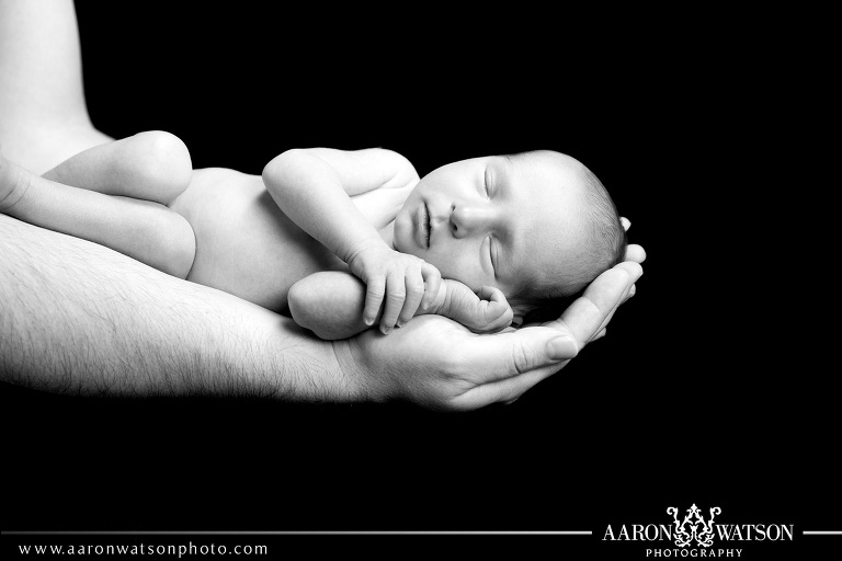 newborn in hands portrait