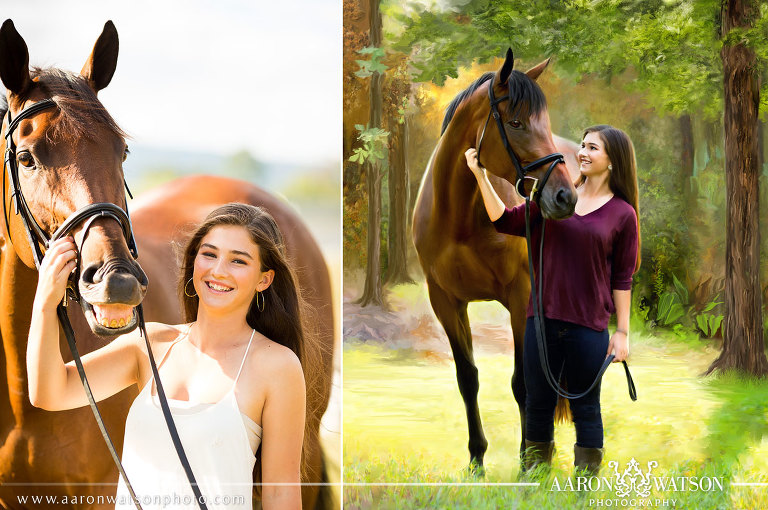 equine senior portrait painting