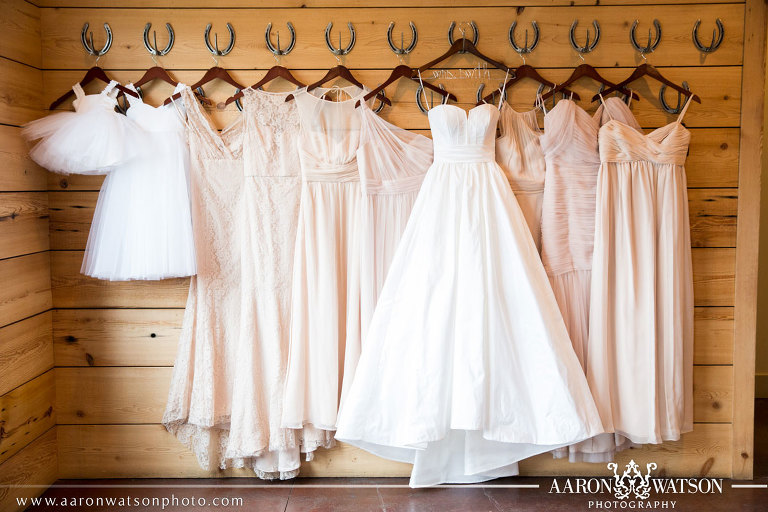 bridal gown and bridesmaids dresses