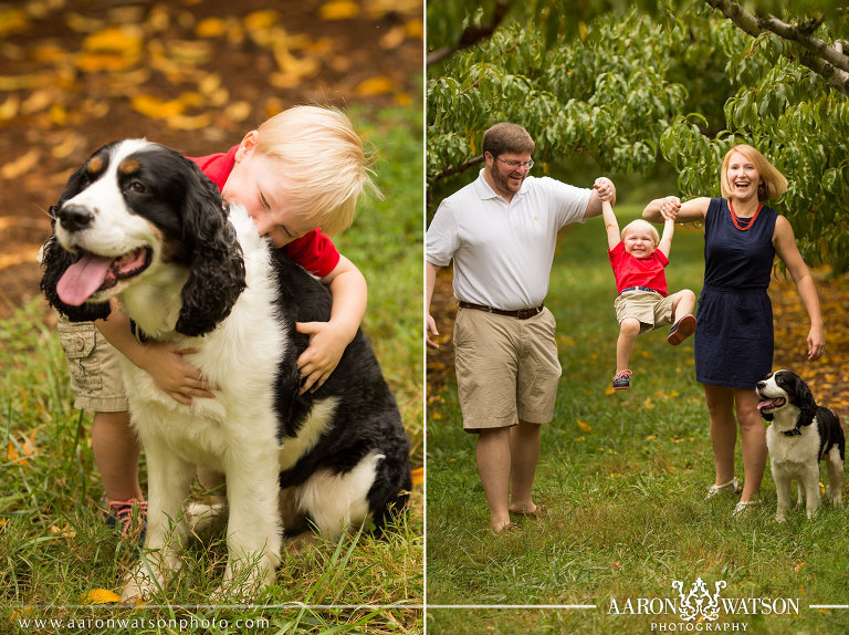 family portraits with baby and family dog