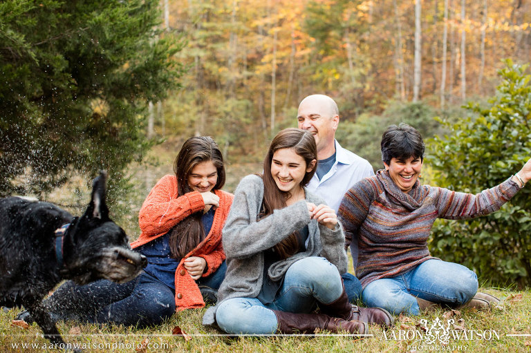 Portraits with Dogs | Charlottesville Wedding Photographers - Aaron ...