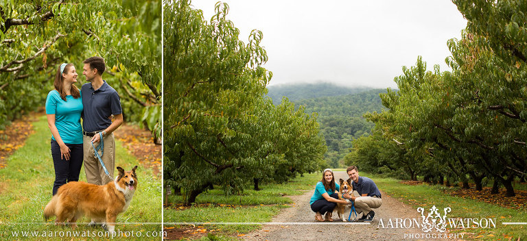 Couple portrait with their dog