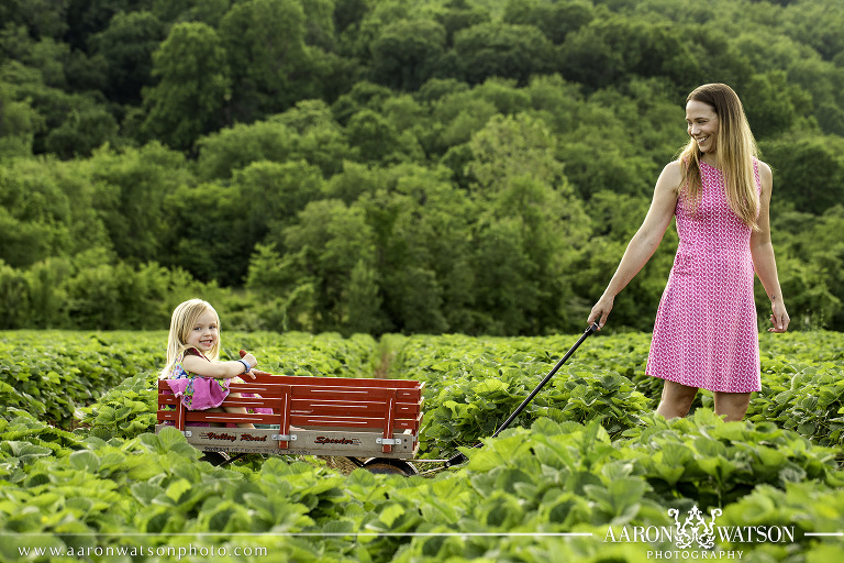 June Newsletter 2016 Summer Family Portraits