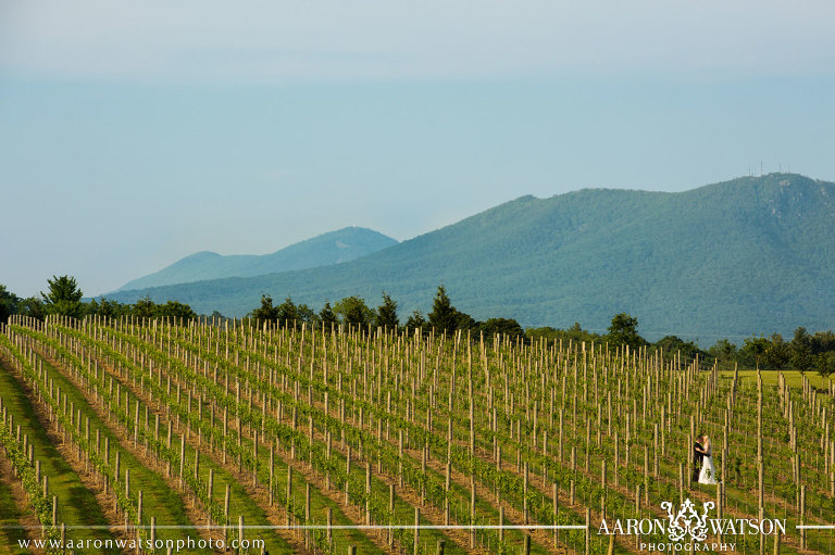 vineyard wedding photographer