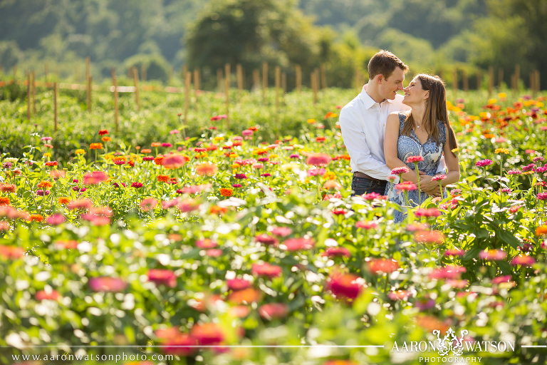 Summer engagement pictures