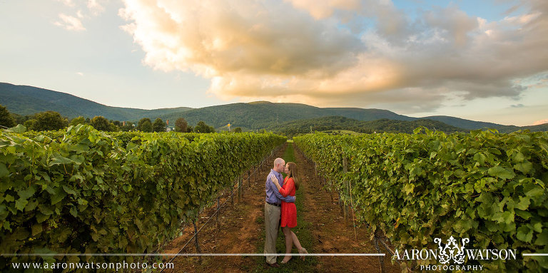 Charlottesville Engagement Photographer