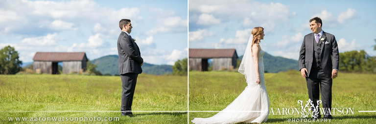 Early Mountain Vineyard Wedding Photographer 