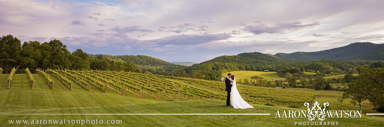 Best Pippin Hill Farm & Vineyards Wedding Photographers 