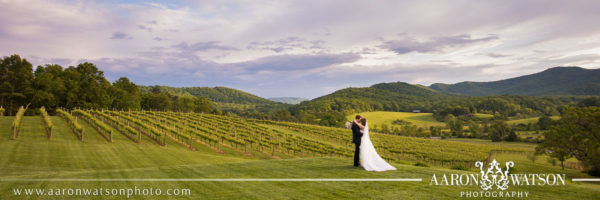 Top 25 Wedding Photos of 2017 Charlottesville Photographers