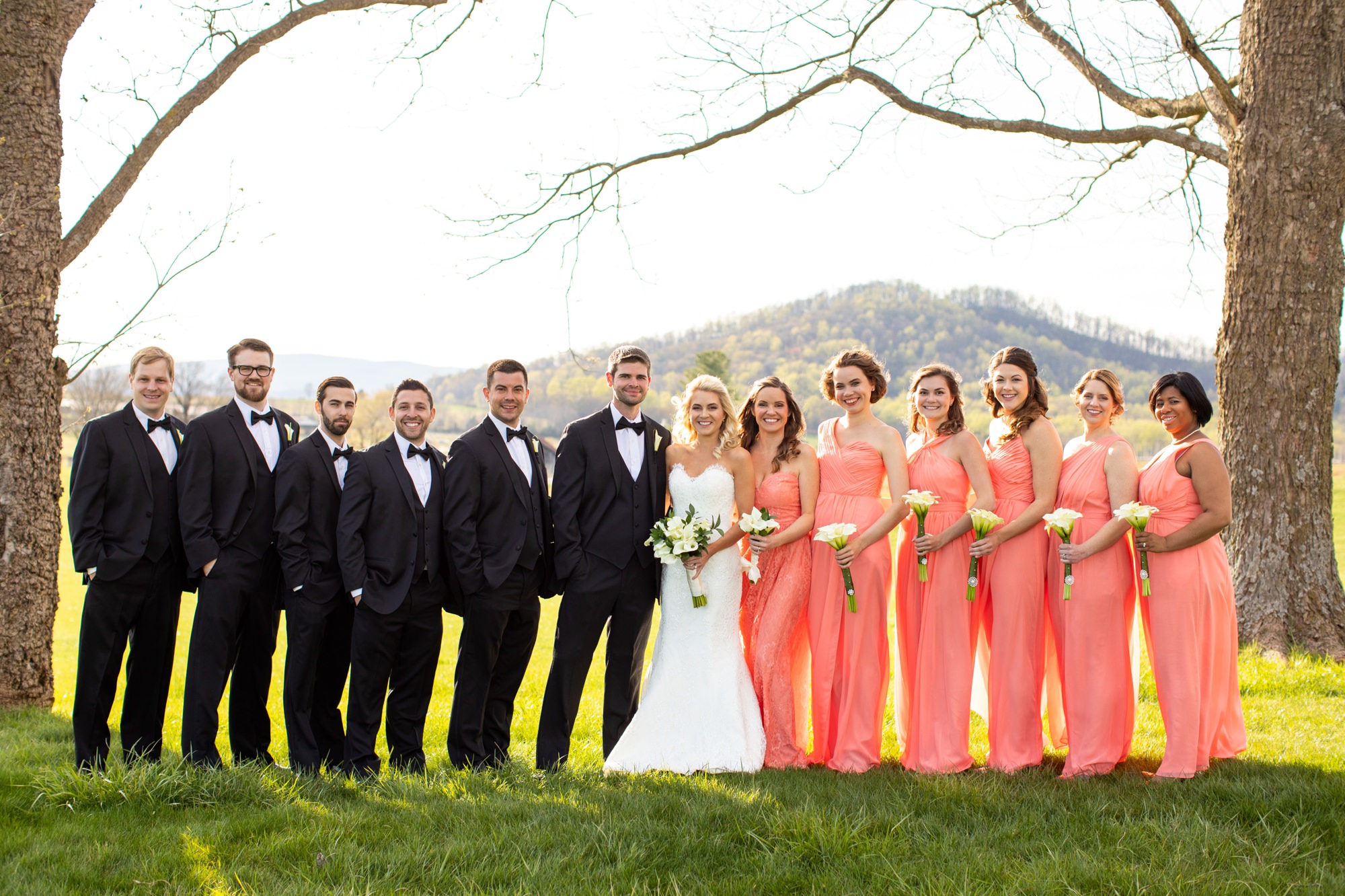 Early Mountain Vineyards Best Wedding Photographers