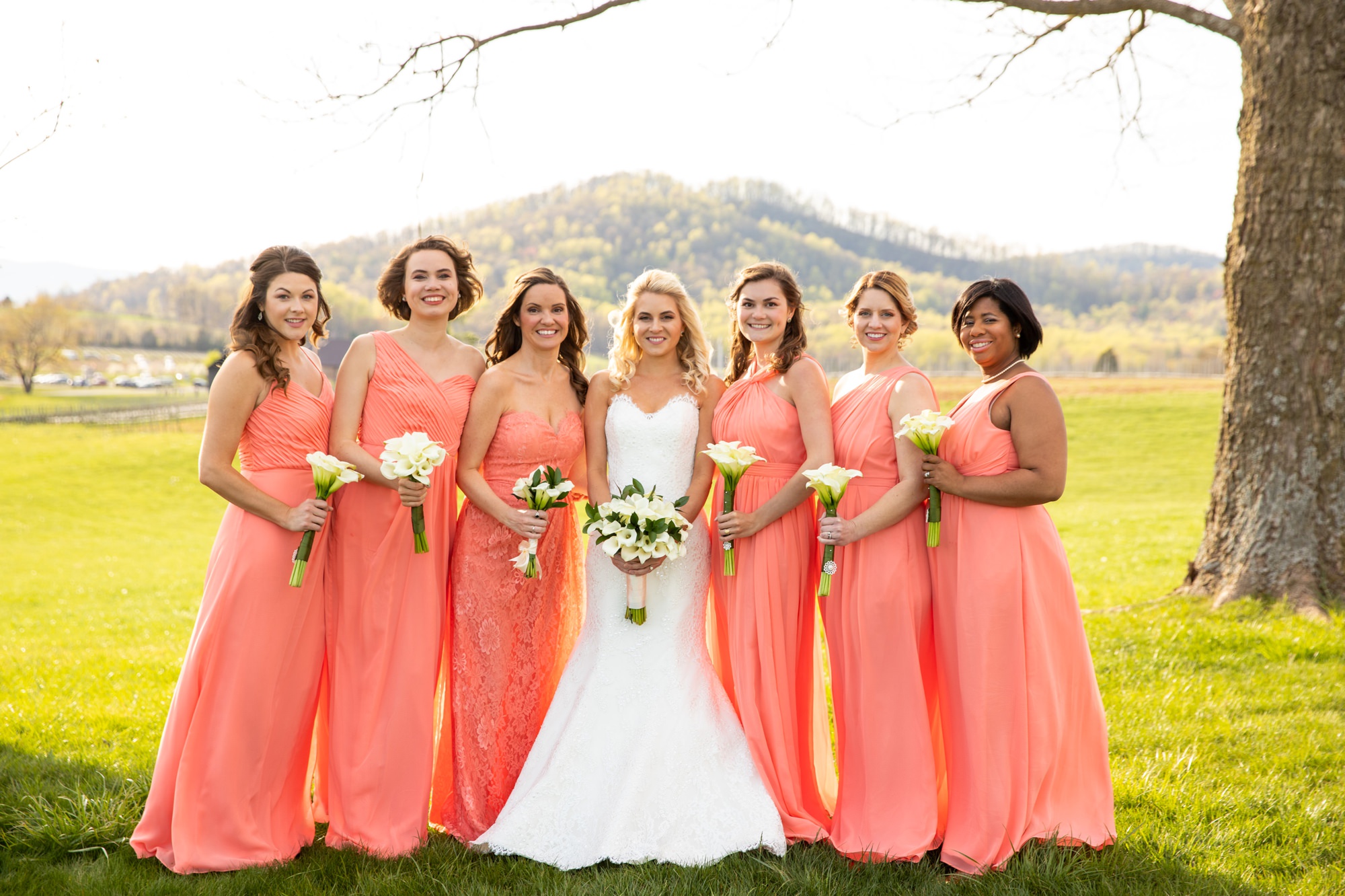 Early Mountain Vineyards Best Wedding Photography