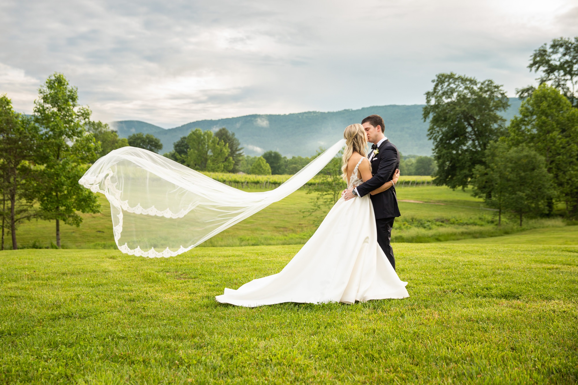 Veritas Vineyards Fairytale Summer Winery Wedding