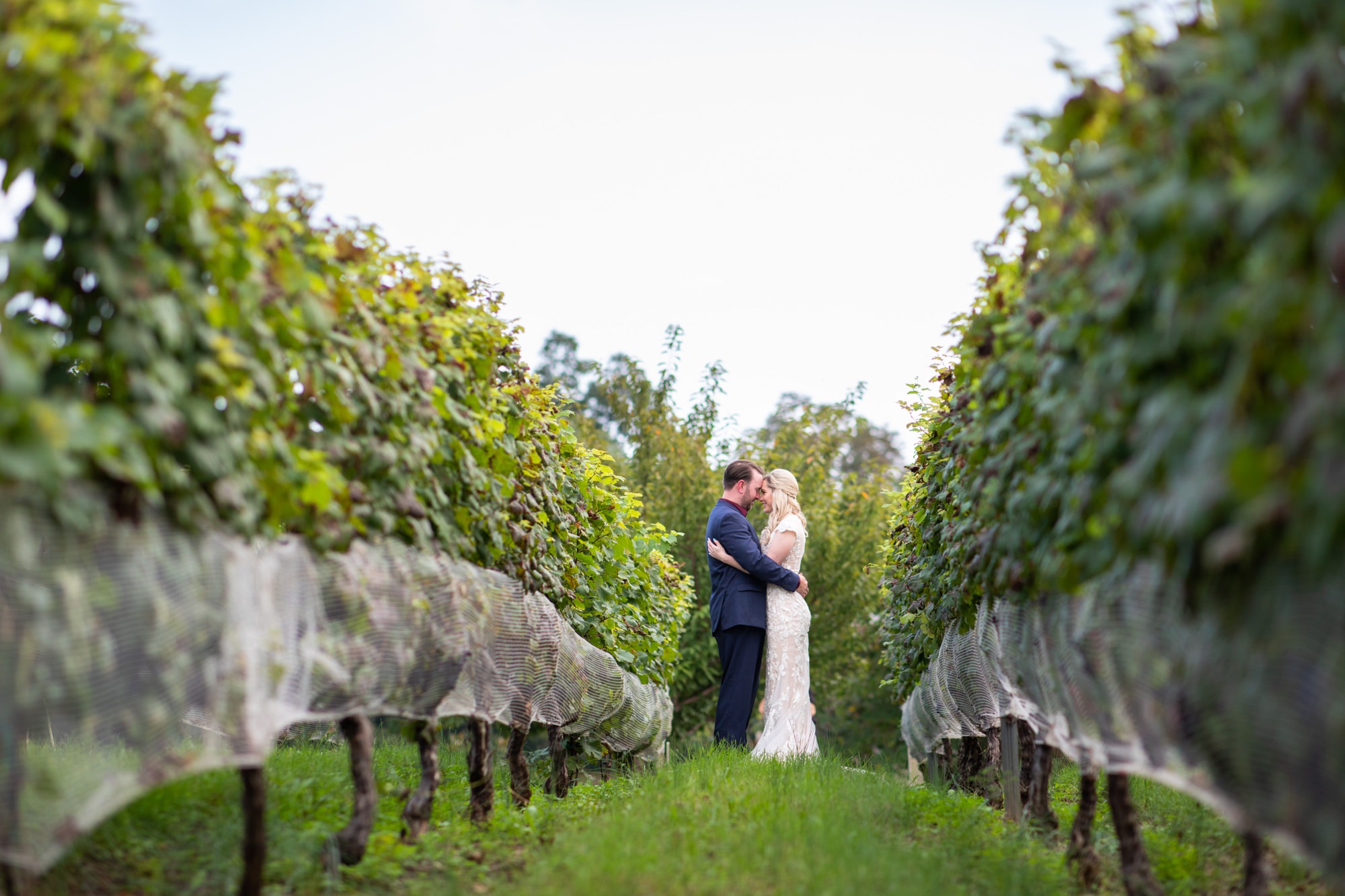 Virginia Vineyards and Winery Weddings