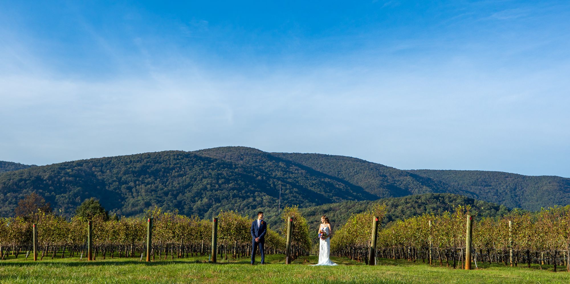 Best King Family Vineyards Wedding Photographers