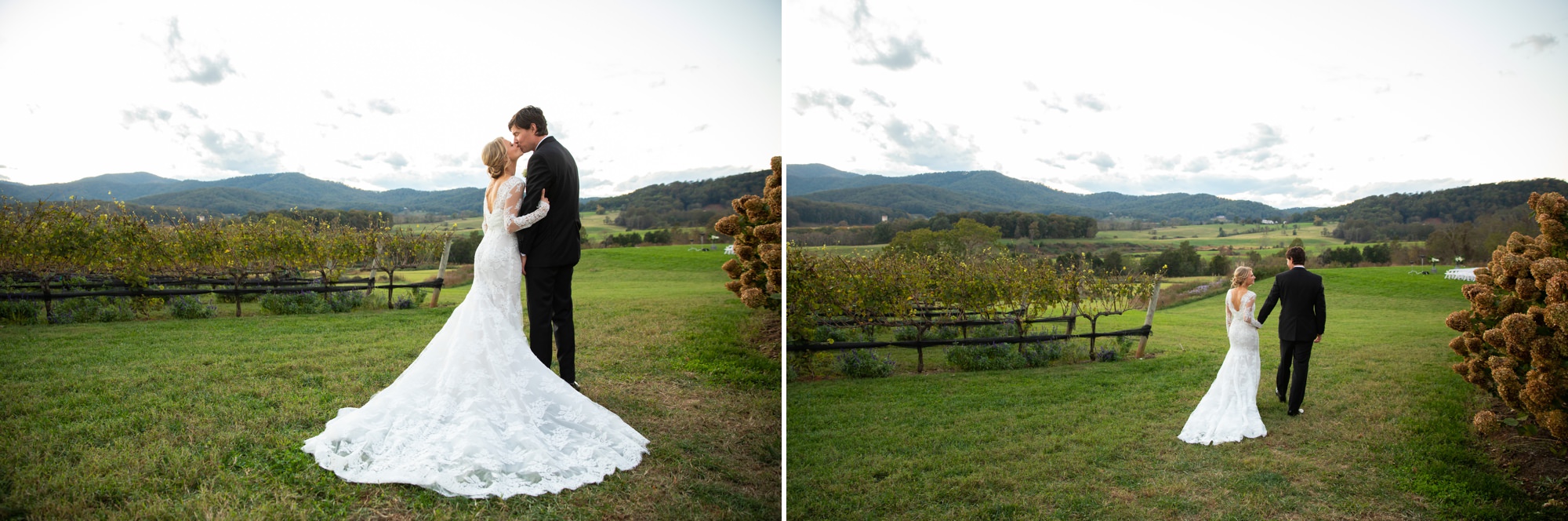 Fall Pippin Hill Farm and Vineyard Weddings