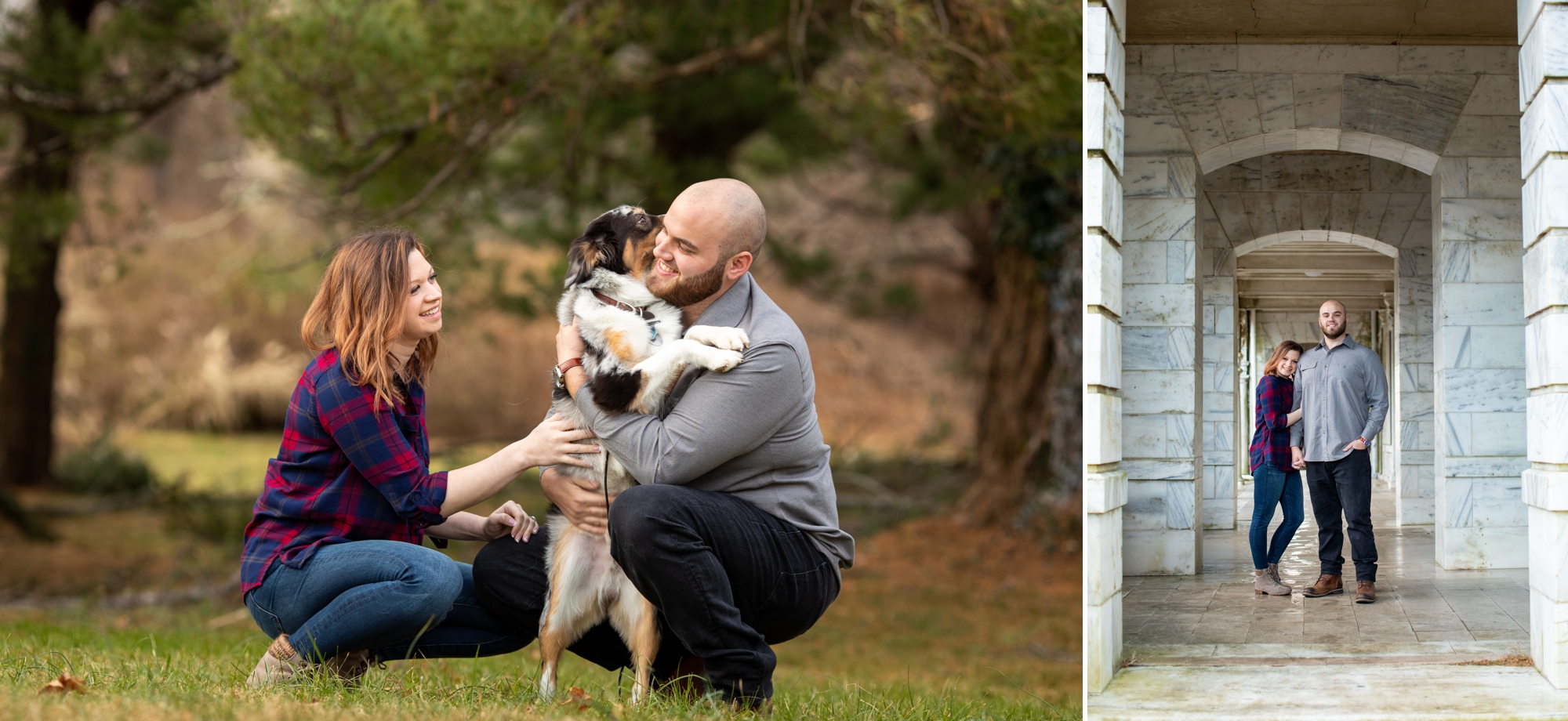 Engagements with Dogs