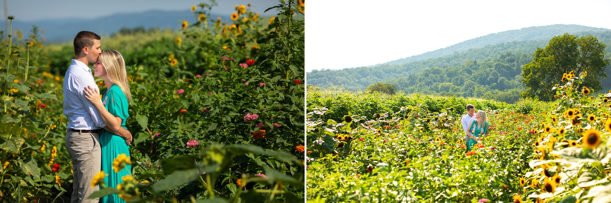 Chiles Peach Orchard Photographers