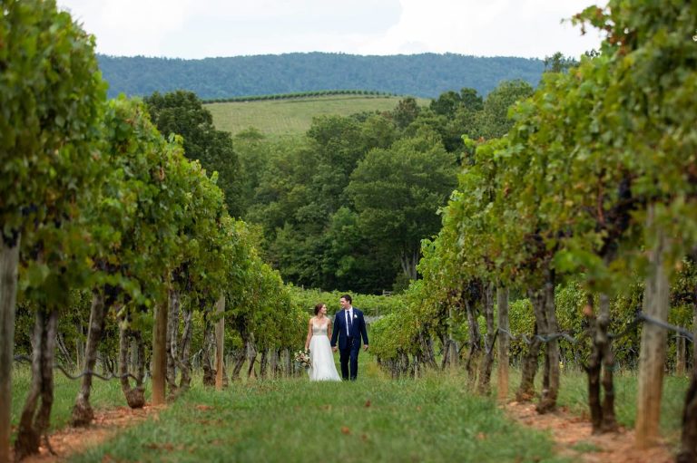 Best Vineyard Wedding Photographers