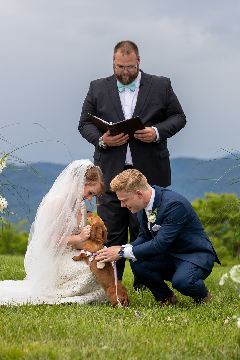 monticello wedding ceremony bride and groom pet dog