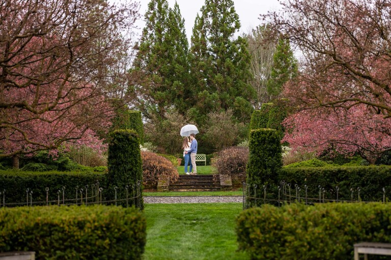 Best Charlottesville Proposal Photographers Waterperry gardens